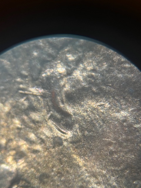 Lincoln-Cents-1984-Ear-Lobe-Double-?